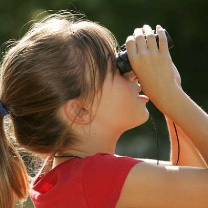 Young Birders Walk — June 13 - logo